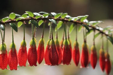 东莞企石6私人快速借钱网，轻松解决资金难题