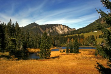 东莞企石6民间私贷攻略：揭秘低成本借贷的秘密