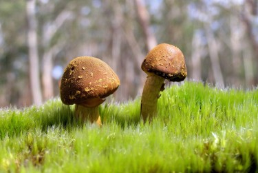 东莞企石6私人老板放款：轻松融资的秘密通道